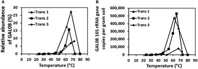 GAL08, an Uncultivated Group of Acidobacteria, Is a Dominant Bacterial Clade in a Neutral Hot Spring